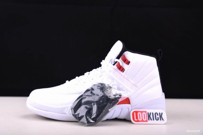 TBkick Air Twist CT8013-106 Jordan 12 0731